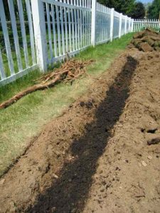 The asparagus trench. Image credit: Kitchen Gardeners International