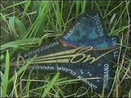 The STS-107 patch is found in a field. Image credit Eclipse Tours