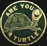 Turtle