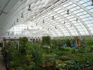 community greenhouse