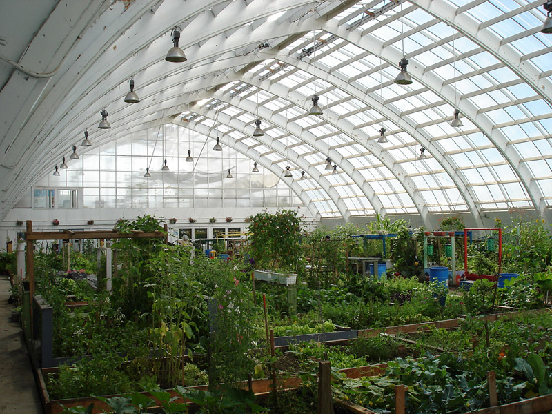 What a community greenhouse could look like on the inside. Image credit Resilient Communities