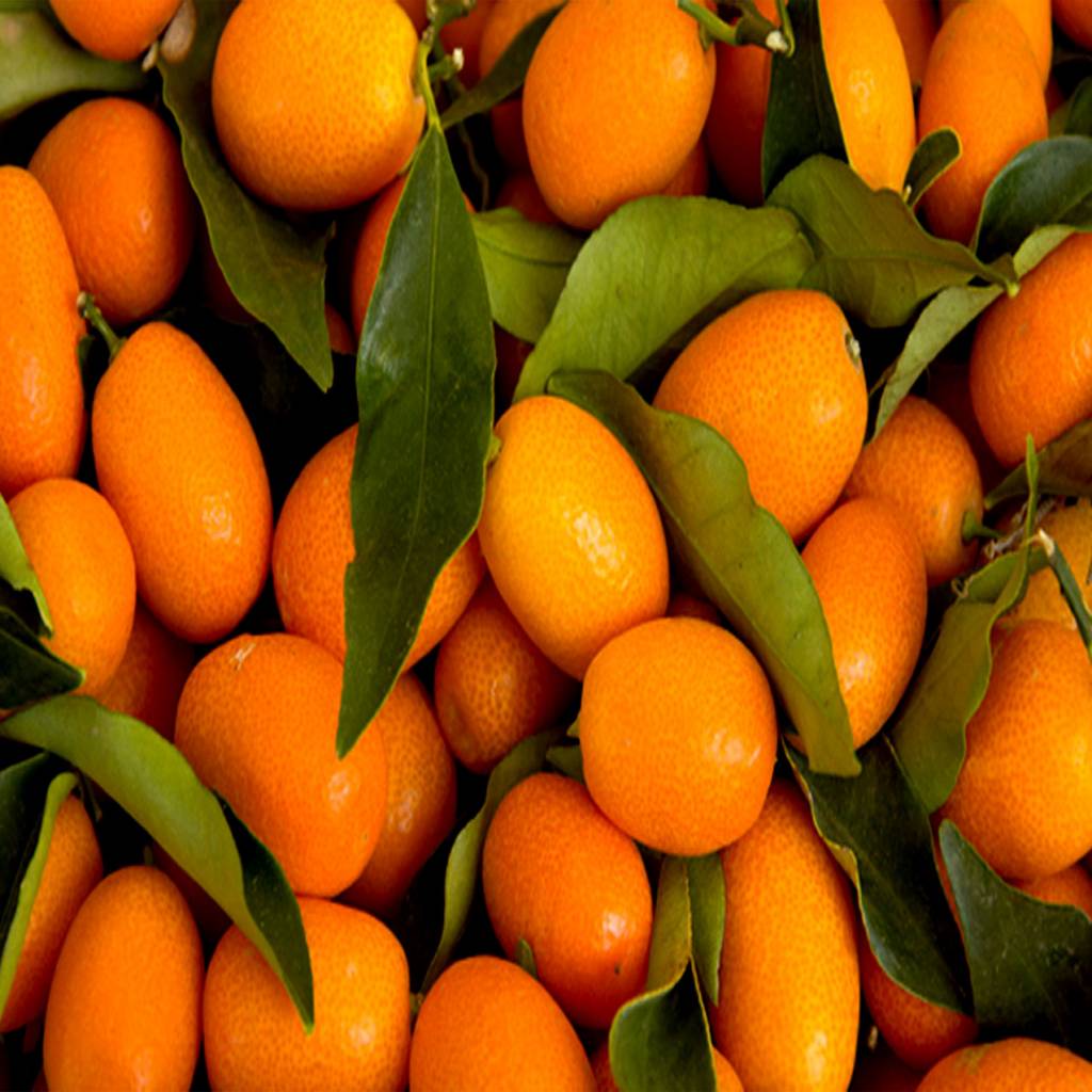 Kumquats are small, oval-shaped citrus fruits.